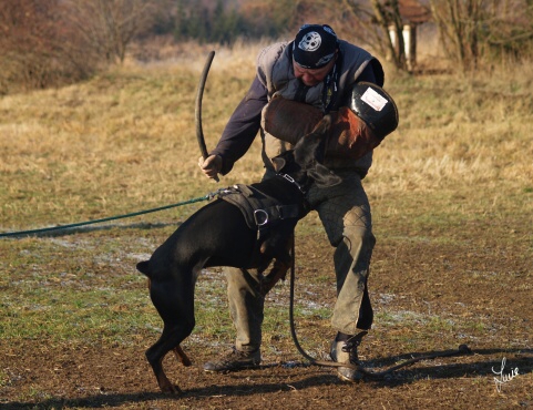 Synthie Pasecke udoli 12/2006